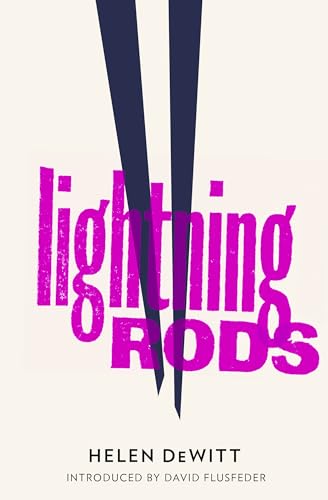 Lightning Rods: Shortlisted for the 2013 Bollinger Everyman Wodehouse Prize for comic fiction
